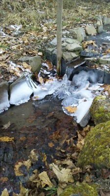 ���R����