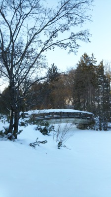 ��t������