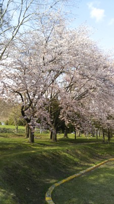 ���h�k����