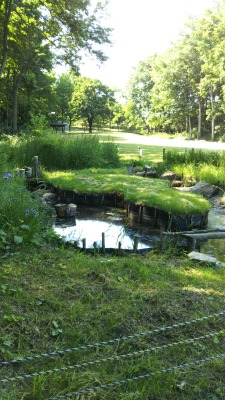 �Ђ傤����r