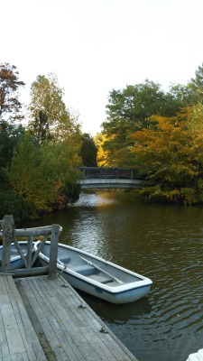 ��t������